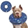 Inflatable Dog Cone Collar